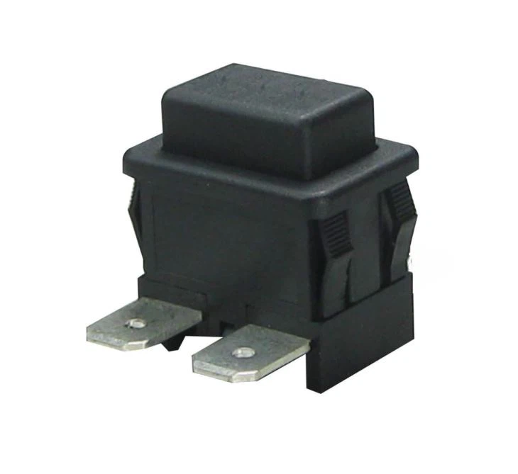 Push Timer Switch Plastic Injection Mold